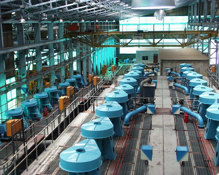 W020241121375644272236