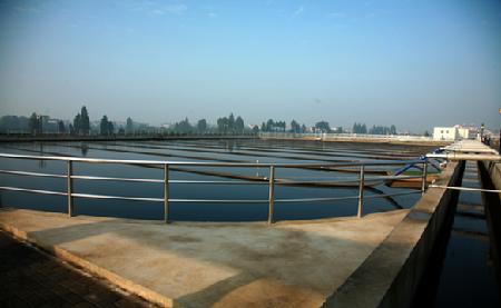 W020241121370511002101