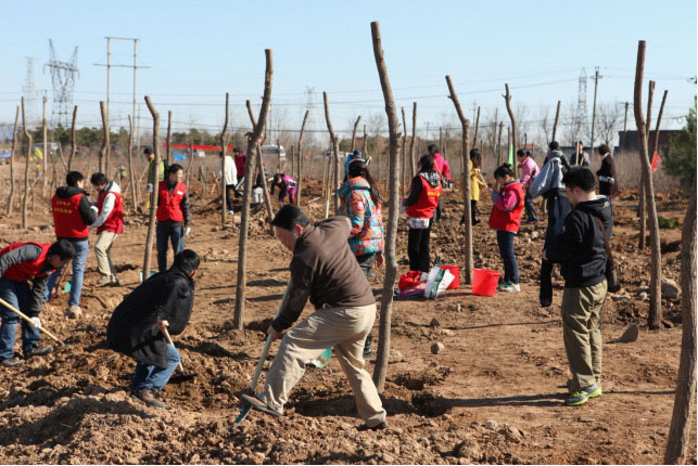 W020241121372708678102