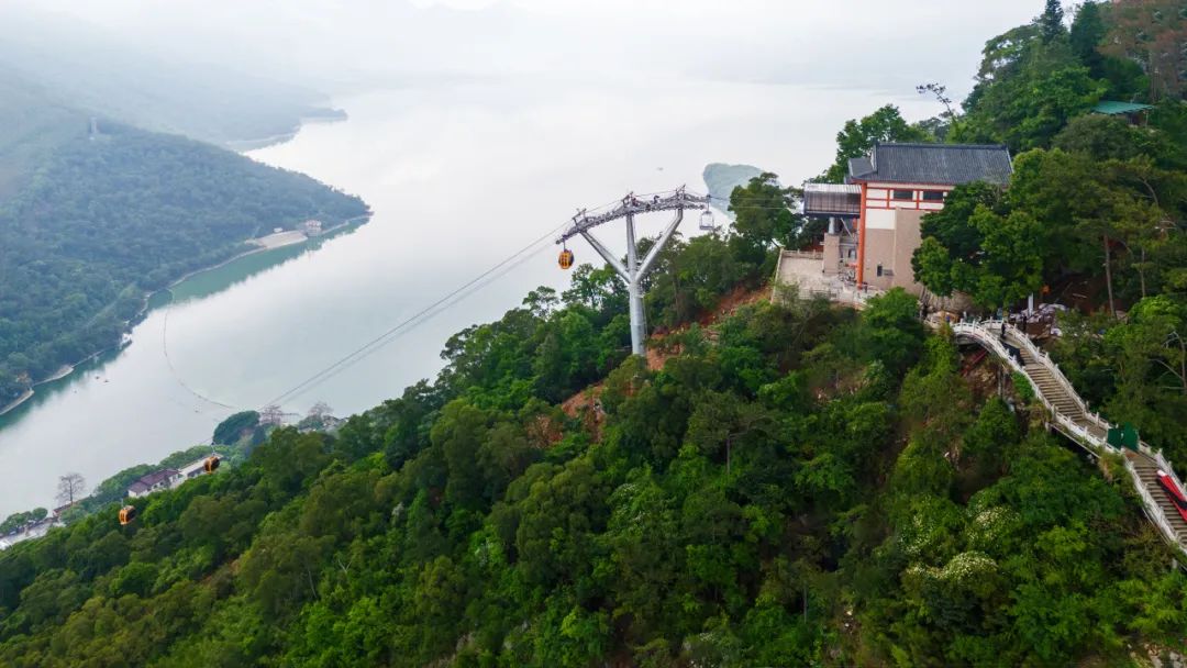 今年会·jnh(中国区)官方网站