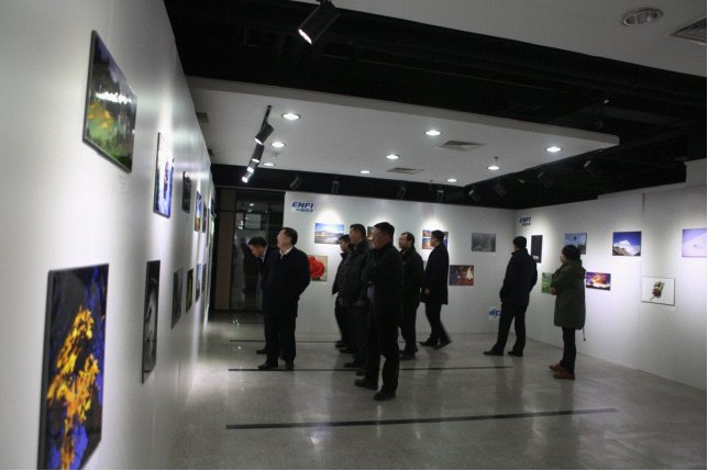 W020241120594179332246