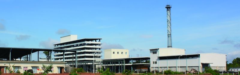 W020241119524830319801