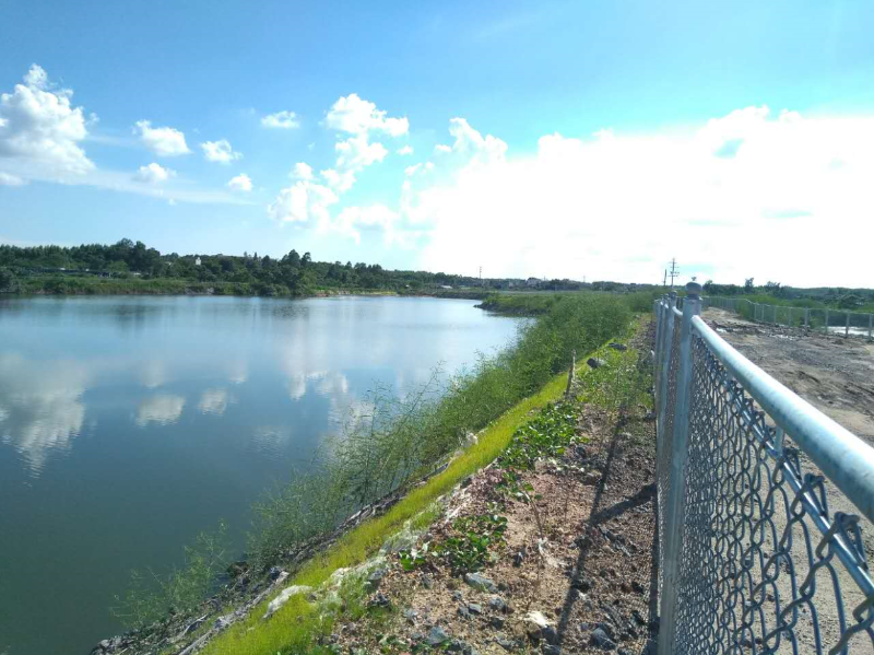 W020241119527186049492