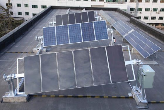 W020241119526078905832