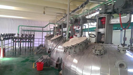 W020241119525546071364